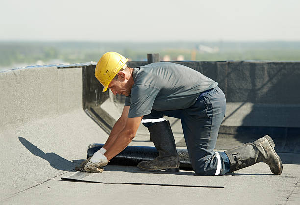 Best Insulation Installation Services in White Rock, NM